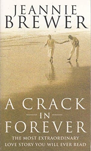 Book cover for A Crack in Forever by Brewer, Jeannie.