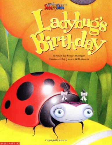 Book cover for Ladybug's Birthday (Sidebyside) by Metzger, Steve