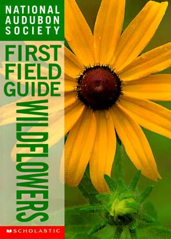 Book cover for Wildflowers (National Audubon Society First Field Guide) by Hood, Susan