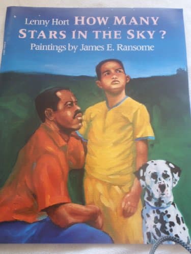 Book cover for How Many Stars in the Sky? by Lenny Hort