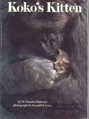 Book cover for Koko's Kitten by Patterson, Francine
