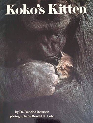 Book cover for Koko's Kitten by Patterson, Francine