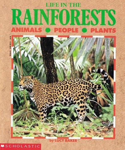 Book cover for Life in the RainForests (Life in the Series) by Baker, Lucy