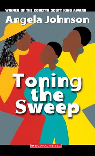 Book cover for Toning The Sweep by Johnson, Angela