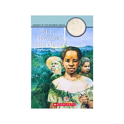 Book cover for M. C. Higgins: The Great by Hamilton, Virginia