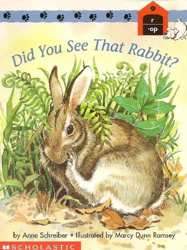 Book cover for Did you see that rabbit? (Scholastic phonics readers) by Schreiber, Anne