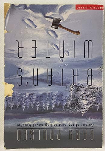 Book cover for Brian's Winter by Gary Paulsen