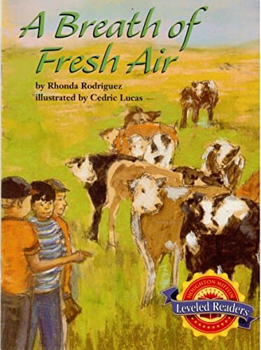 Book cover for Houghton Mifflin Reading Leveled Readers: Level 4.2.2 Bel LV a Breath of Fresh Air by Read