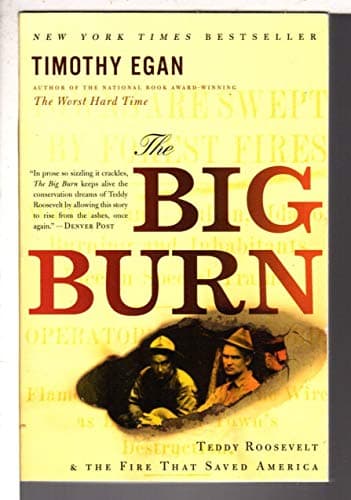 Book cover for The Big Burn: Teddy Roosevelt and the Fire That Saved America by Egan, Timothy