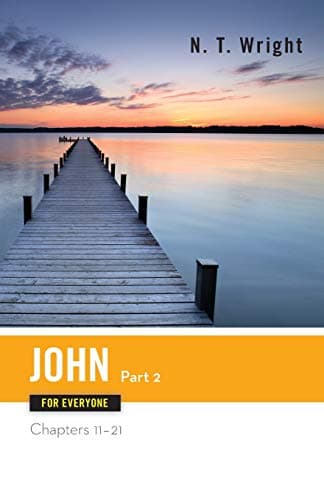 Book cover for John for Everyone, Part 2 (The New Testament for Everyone) by Tom Wright