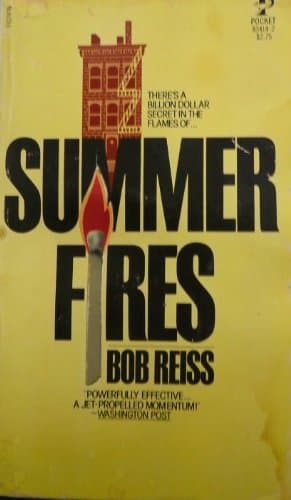 Book cover for Summer Fires by Robert reiss