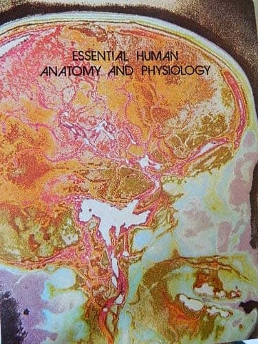 Book cover for Essential human anatomy and physiology by Barbara Ruth Landau
