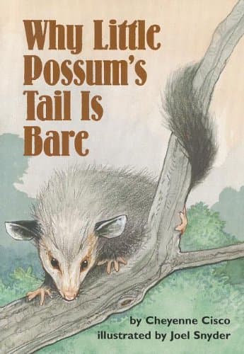 Book cover for READING 2000 LEVELED READER 1.24A WHY LITTLE POSSUM'S TAIL IS BARE by Scott Foresman