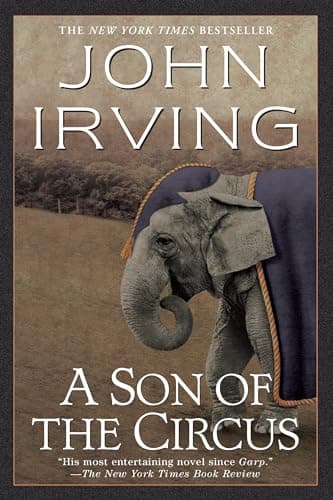 Book cover for A Son Of The Circus by Irving, John