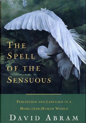 Book cover for The Spell of the Sensuous: Perception and Language in a More-Than-Human World by Abram, David