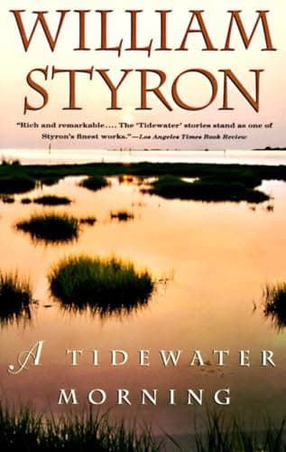 Book cover for A Tidewater Morning by Styron, William