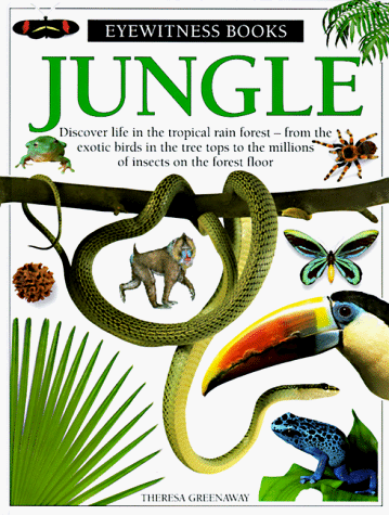 Book cover for Jungle by Greenaway, Theresa