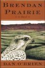 Book cover for Brendan Prairie: A Novel by O'brien, Dan