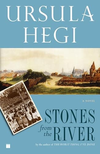 Stones from the River