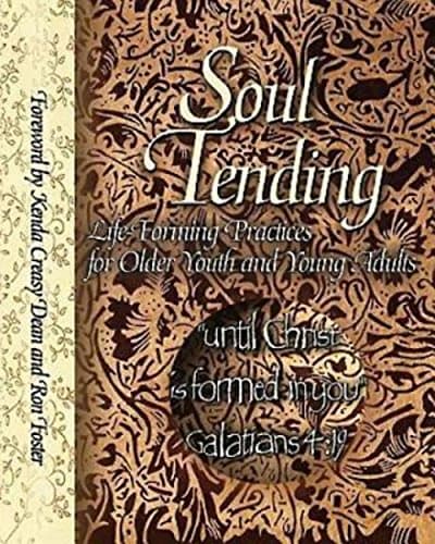 Book cover for Soul Tending: Life Forming Practices for Older Youth and Young Adults by Beverly Burton