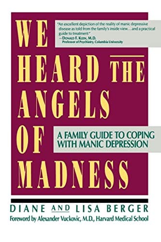 Book cover for We Heard the Angels of Madness by Berger, Lisa & Diane