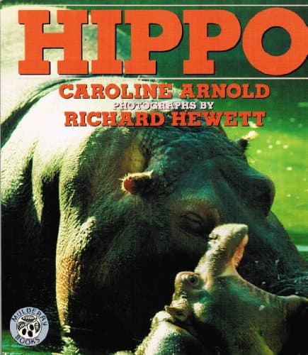 Book cover for Hippo by Arnold, Caroline