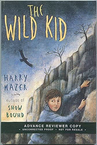 Book cover for The Wild Kid by Mazer, Harry