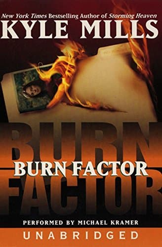 Book cover for Burn Factor by Mills, Kyle