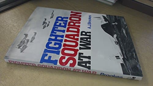 Book cover for Fighter squadron at war by Andrew Brookes