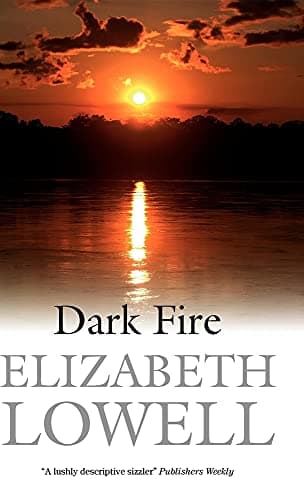Book cover for Dark Fire by Lowell, Elizabeth