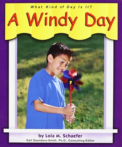 Book cover for A Windy Day (What Kind of Day Is It?) by Schaefer, Lola M.