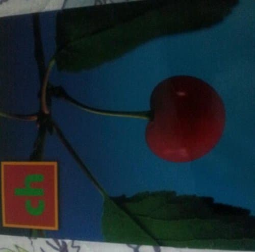 Book cover for Steck-Vaughn Build-A-Word: Student Book Grades K - 2 Digraph Ch by Steck-Vaughn