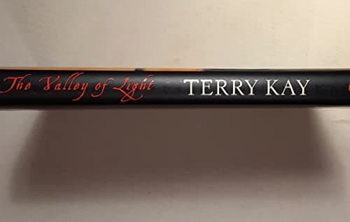 Book cover for The Valley of Light: A Novel by Kay, Terry