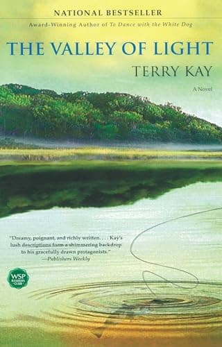 Book cover for The Valley of Light: A Novel by Kay, Terry