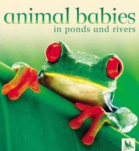 Book cover for Animal Babies in Ponds and Rivers by Jennifer Schofield