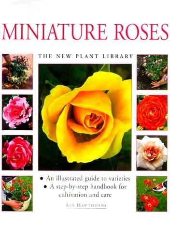 Miniature Roses: An Illustrated Guide to Varieties & a Step-by-Step Handbook for Cultivation & Care