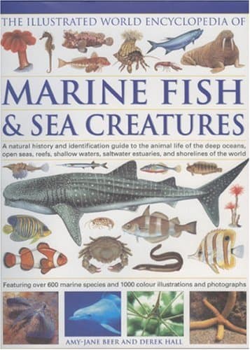 Book cover for The Illustrated World Encyclopedia of Marine Fishes & Sea Creatures: A Natural History And Identification Guide To The Animal Life Of The Deep Oceans, ... Estuaries, And Shorelines Of The World by Hall, Derek