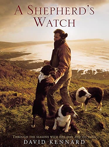 Book cover for A Shepherd's Watch : Through the Seasons With One Man and His Dogs by David Kennard
