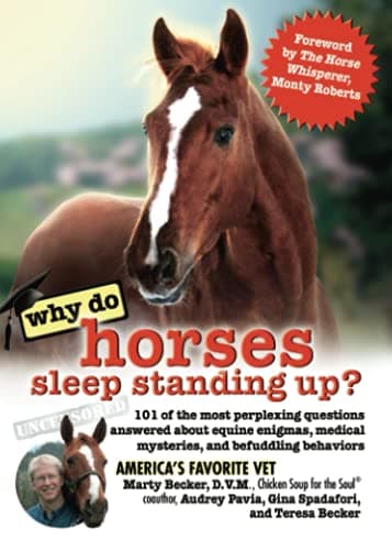 Book cover for Why Do Horses Sleep Standing Up?: 101 of the Most Perplexing Questions Answered About Equine Enigmas, Medical Mysteries, and Befuddling Behaviors (Why Do Series) by Becker D.V.M., Dr. Marty