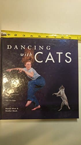 Book cover for Dancing With Cats by Burton Silver & Heather Busch