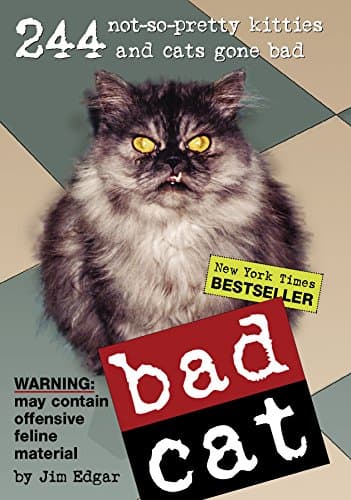 Book cover for Bad Cat: 244 Not-So-Pretty Kitties And Cats Gone Bad by Edgar, Jim