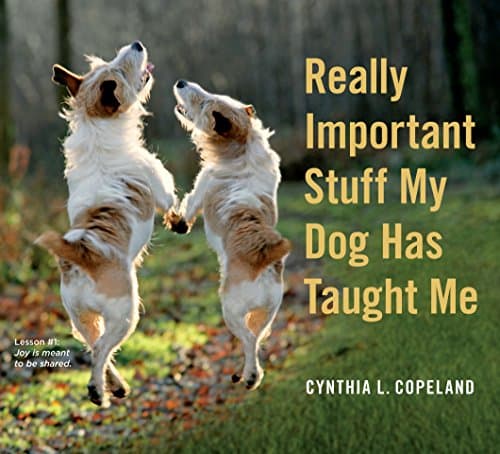 Book cover for Really Important Stuff My Dog Has Taught Me by Copeland, Cynthia L.