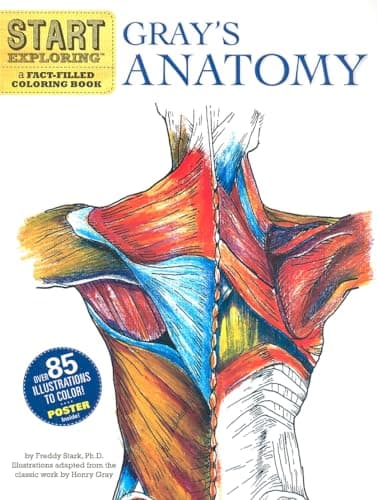 Book cover for Start Exploring: Gray's Anatomy: A Fact-Filled Coloring Book (Start Exploring (Coloring Books)) by Stark PhD, Fred