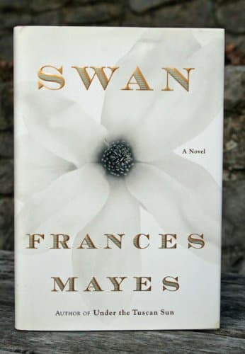 Book cover for Swan: A Novel by Mayes, Frances