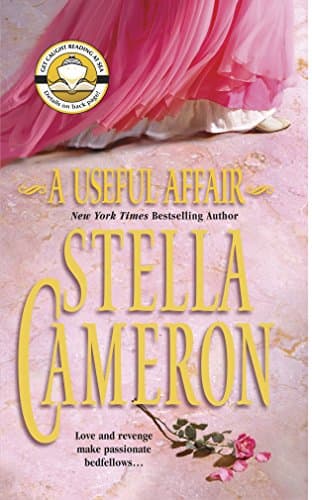 Book cover for A Useful Affair by Cameron, Stella
