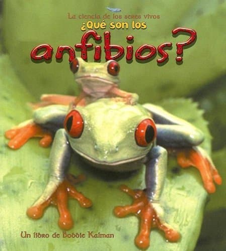 Book cover for ¿Qué Son Los Anfibios? (What Is an Amphibian?) (La Ciencia de los Seres Vivos (The Science Of Living Things)) (Spanish Edition) by Kalman, Bobbie