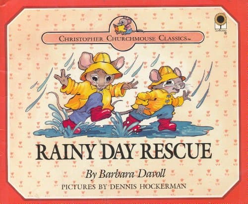 Book cover for Rainy Day Rescue by Davoll, Barbara