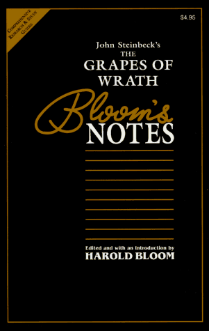 John Steinbeck's the Grapes of Wrath (Bloom's Notes Series)
