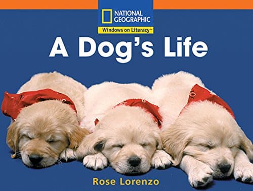 Book cover for A Dog's Life (Windows on Literacy) by National Geographic Learning