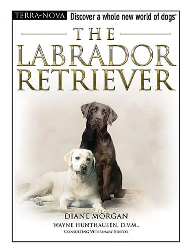 Book cover for The Labrador Retriever (The Terra Nova Series) by Morgan, Diane